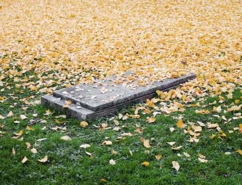 Servicio de enterradores en Cantabria: ¿es la muerte un tema tabú?