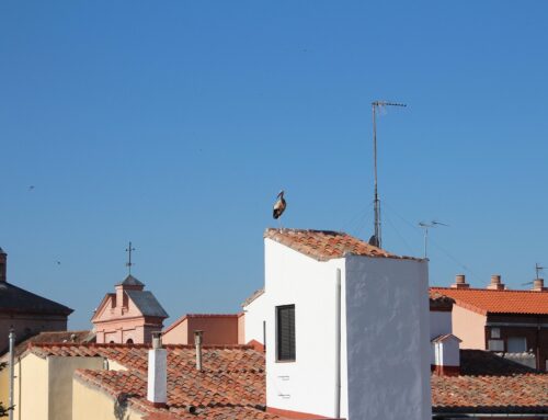Rehabilitación de tejados en Alcalá de Henares: el Cuartel del Príncipe