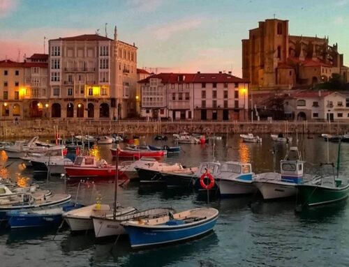 Respeto y sensibilidad por las aves en las reformas de tejados en Castro Urdiales