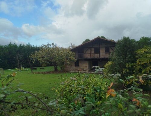Instalación de claraboyas y lucernarios en Aranda de Duero, Burgos
