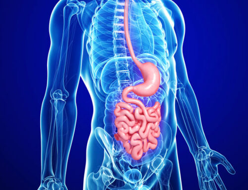 La visión de un médico digestivo en Santander sobre los antiácidos