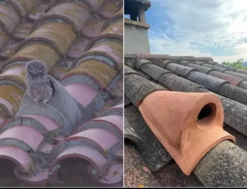 Mantenimiento de tejados en Tarancón: problemas comunes y cómo prevenirlos