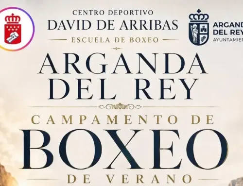 Campamento de boxeo de verano en Arganda del Rey para niños