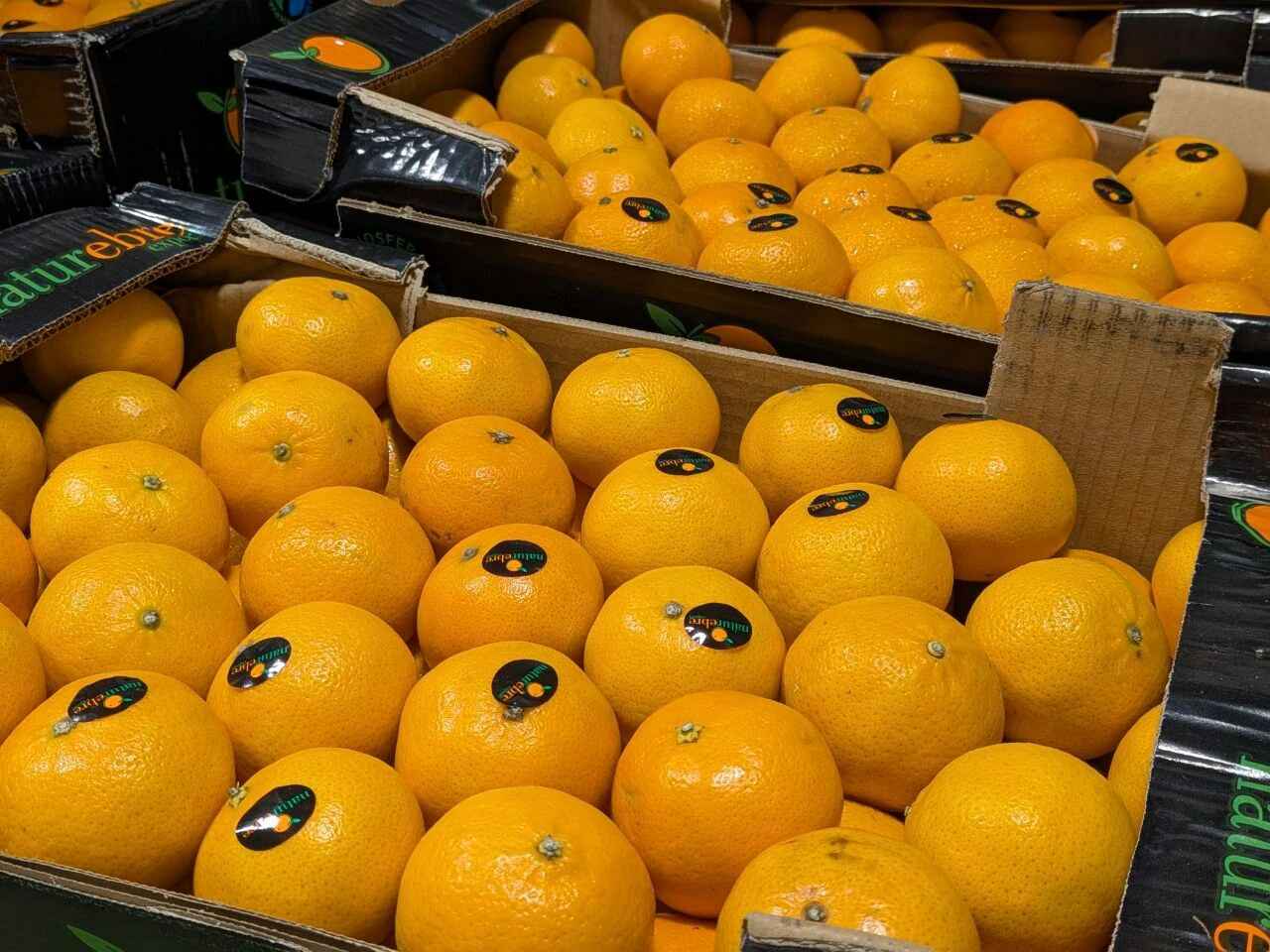 Distribución de fruta en Cantabria para restaurantes y hoteles